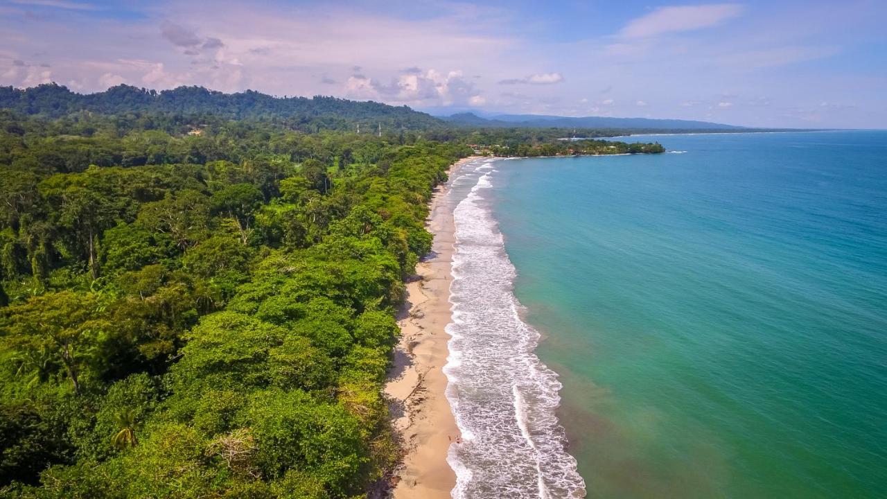 The Goddess Garden Eco-Resort Cahuita Exteriör bild